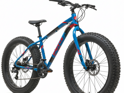 Fat Bike For sale