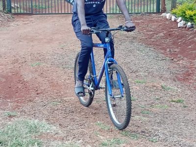 Mountain bike for sale