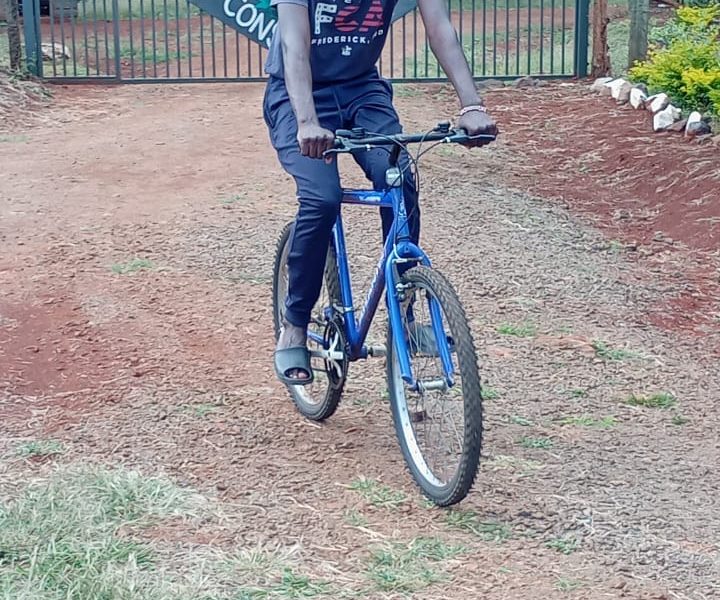 Mountain bike for sale